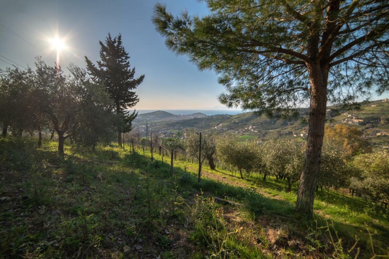 Villa Pandora Agropoli Exteriör bild